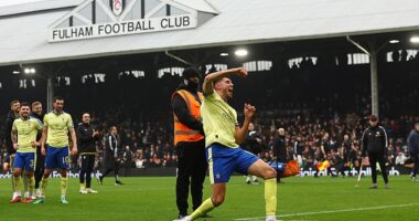 Southampton are back in the FA Cup quarter-finals, having knocked out Premier League side Fulham in the last round thanks to Ross Stewart's penalty