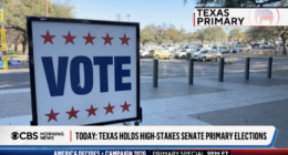 TX Elections Officials Sound Alarm Over Voter Registration System