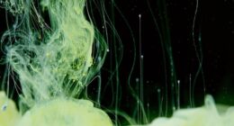 &ldquo;What&rsquo;s Science And What&rsquo;s Myth?&rdquo;: Take This 20-Question Quiz And Prove You Know The Truth