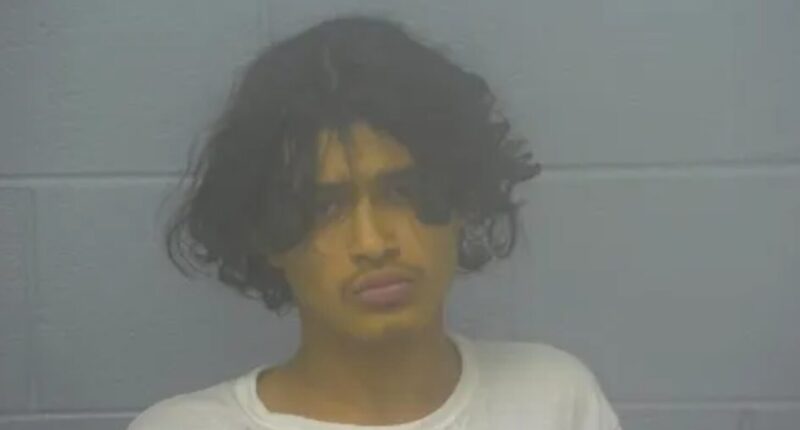 Teen Boy Pleads 'I Just Don't Wanna Die' Before Being Murdered by Illegal Immigrant.