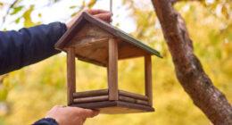 Tenant Mortified After Noticing Landlady Removes Her Bird Feeders, Considers Involving Police