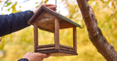 Tenant Mortified After Noticing Landlady Removes Her Bird Feeders, Considers Involving Police