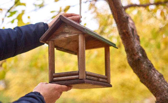 Tenant Mortified After Noticing Landlady Removes Her Bird Feeders, Considers Involving Police