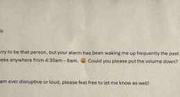 Posting to Reddit, the woman admitted she feared she had 'become the hated neighbour' after repeatedly blasting early-morning alarms loud enough to wake those around her
