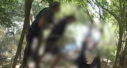 Five teenagers were arrested in southeast Queensland following a strong of alleged break ins