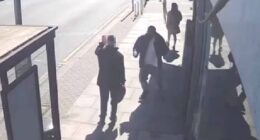 Video obtained by the Daily Mail the suspect rushing a man waiting at a bus stop and frantically knifing him before two hero bystanders run towards him