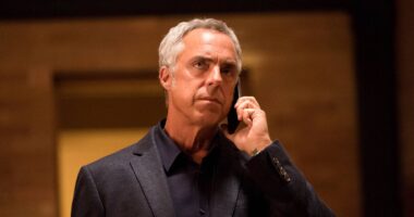 The Lincoln Lawyer Season 5's Major Betrayal Is The Harry Bosch Crossover The Show Is Missing