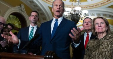 The Republicans Announce Their 2026 Senate Targets – RedState
