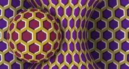 Neuroscience Unplugged: The Ultimate Roundup Of Brain-Bending Optical Illusions