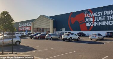 A newly single Brisbane woman in her late 30s recently asked about her chances of 'bumping into Mr Single' at Bunnings