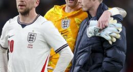 Jarrod Bowen, Jordan Pickford and Cole Palmer despair after the 1-0 home defeat by Japan