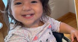 Lucia Ayala, two, died on March 7 after a power seat in a 2026 Hyundai Palisade SUV suddenly pinned her down and fatally trapped her