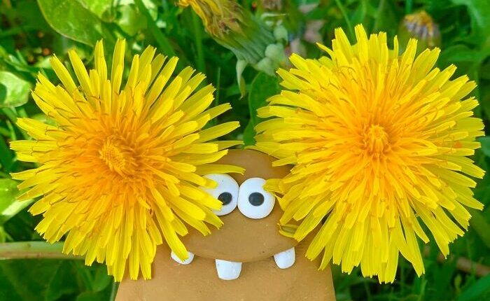 This Artist Hand-Sculpts Adorably Wonky Creatures With Their Own Personalities (50 Pics)