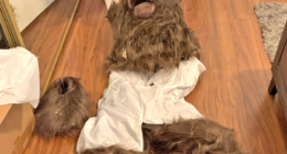 Three sentenced for luxury car insurance scam involving person wearing bear suit