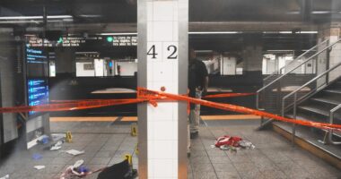 Three stabbed at New York subway station as man with knife is shot dead by police