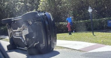 Woods was first pictured standing by his overturned vehicle after the high-speed crash