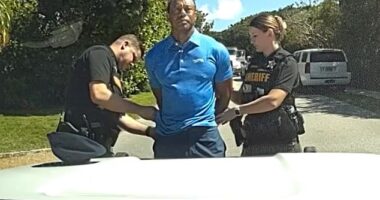 Prosecutors in Florida have requested to dive into the medical records of Tiger Woods