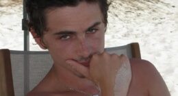 Timothée Chalamet faced yet another embarrassing moment on Saturday, when his high-end Lucid Air electric car was towed from his Beverly Hills home