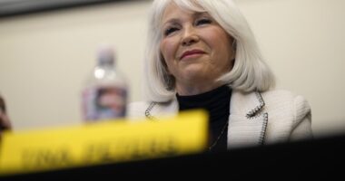 Tina Peters, Imprisoned 'Election Denier,' Gets Resentencing Hearing – HotAir