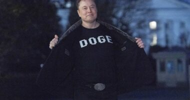 Trump Admin. Scores a Big Win at 4th Circuit Regarding DOGE – RedState