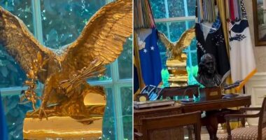 President Donald Trump has apparently leaned into the design theory that you can never have too much gold. On Friday morning, White House Deputy Chief of Staff Dan Scavino, Trump's longtime social media guru, shared a fresh video of the Oval Office. With the song Fly Like an Eagle by the Steve Miller Band playing, Scavino teased a new addition. His camera zoomed over a coffee table decorated with the presidential seal, over Trump's model of his desired Air Force One and then over the Resolute Desk.