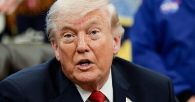 When asked if he felt threatened by ex-FBI Director James Comey's '8647' post, Trump responded 'probably, I don't know'