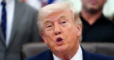 Donald Trump said that China sent 'a gift' to Iran that was intercepted by US forces during a Tuesday morning interview on CNBC