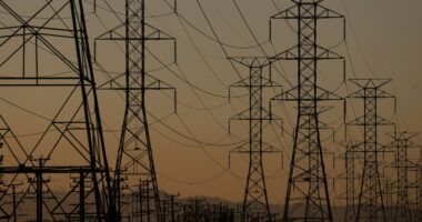 Trump moves to scrap utility bill aid for Americans, as soaring energy costs hit over $1,000 on average this winter