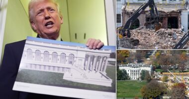 President Donald Trump's White House ballroom project was temporarily halted Tuesday by a federal judge. The National Trust for Historic Preservation had sued the Trump administration after the destruction last fall of the White House's East Wing. The preservation group argued that Trump needed Congressional approval before making such major changes to the White House. U.S. District Judge Richard Leon wrote in his decision that no statute 'comes close' to giving the President the authority to take on the project without Congressional oversight.
