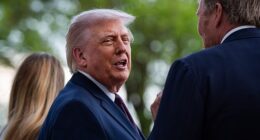 Donald Trump believes Pope Leo XIV has 'probably learned' to stay away from politics and revealed why he took down the controversial AI image of himself resembling Jesus Christ