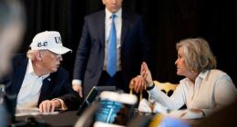 White House Chief of Staff Susie Wiles is convening a meeting with the Secret Service and other top security officials to discuss the shooting at the White House Correspondents' Dinner on Saturday, a senior White House official told the Daily Mail