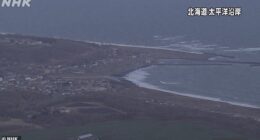 Massive waves were seen consuming vast swathes of Japan's coastline
