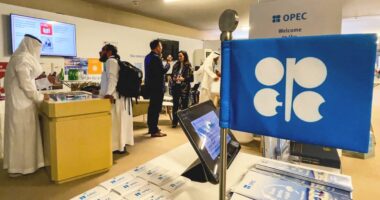 U.A.E. quits OPEC. Here’s what it means for the oil prices and the economy.