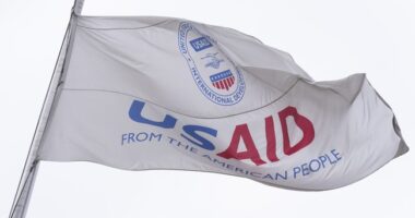 USAID Is Back in the News For All the Wrong Reasons – HotAir
