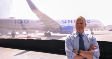 United Airlines reportedly pitched government on American Airlines deal. What the deal would look like.