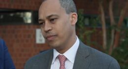 VA Dems Won't Defend Dishonest Gerrymander Language In Court