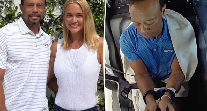 Vanessa Trump is 'in favor' of Tiger Woods' treatment following DUI: report