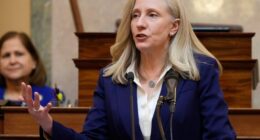 Virginia Judge Rules VA Gerrymandering Vote Unconstitutional – HotAir