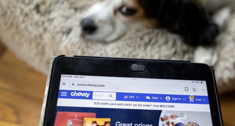 Watch for these 21 best-in-class stocks to keep powering the tech rally, analysts advise