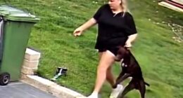 Paige Williams (pictured), 25, was entrusted with caring for three dogs, two cats and two birds of prey in Solihull while their owners were away for four weeks on holiday in July and August 2024