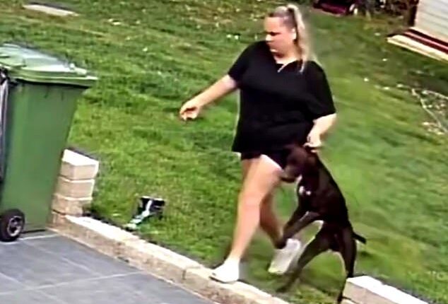 Paige Williams (pictured), 25, was entrusted with caring for three dogs, two cats and two birds of prey in Solihull while their owners were away for four weeks on holiday in July and August 2024