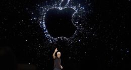 What Apple investors need to know about the next steps for the company and its new CEO