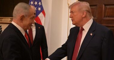 Donald Trump meets Israeli prime minister Benjamin Netanyahu at the White House on February 11