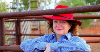 Gina Rinehart has been hailed the clear winner of a complex court case about mining tenements