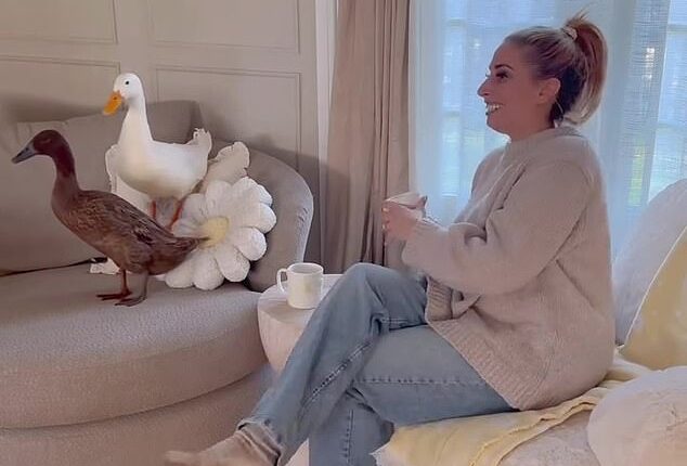 Stacey Solomon (pictured) recently introduced her Instagram followers to two new duck additions: Daisy and Delilah Solomon-Swash