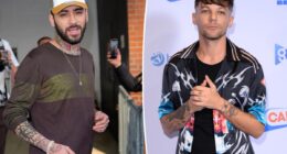 Zayn Malik punched Louis Tomlinson in the face during vicious fight on set of Netflix docuseries: report