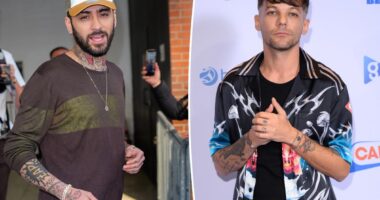 Zayn Malik punched Louis Tomlinson in the face during vicious fight on set of Netflix docuseries: report