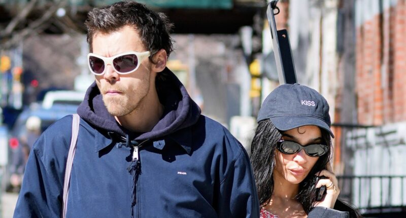 Since When?! Internet Users Are Reacting To Zoë Kravitz & Harry Styles Getting Engaged