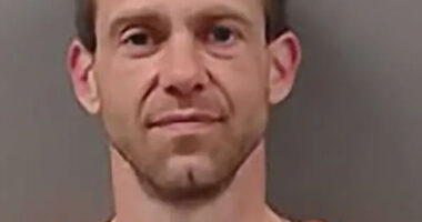&lsquo;Little Rascals&rsquo; star Bug Hall arrested in Ohio