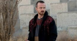 10 Crime Thriller Shows That Are Perfect From Start to Finish